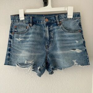 American Eagle 90s boyfriend Denim Blue Women's Shorts